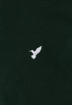 Pier One 5 Pack - Camiseta Básica - White/Ark Green/Blue 19 Pier One 5 Pack - Camiseta Básica - White/Ark Green/Blue -Pier One 19822f95d4c243b5a7cfa8d503e23581