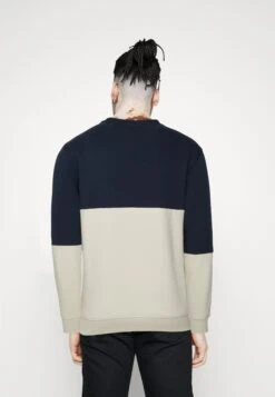 Pier One Sudadera - Blue/Grey -Pier One e8e4fa1aa32f4185adbdad5b08b3d97c